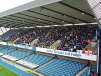 I tifosi del Brighton